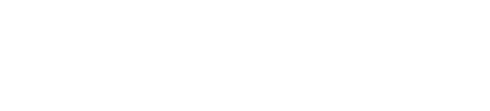 TORISE